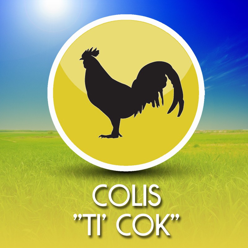 Colis Ti'Cok (100% Volaille)